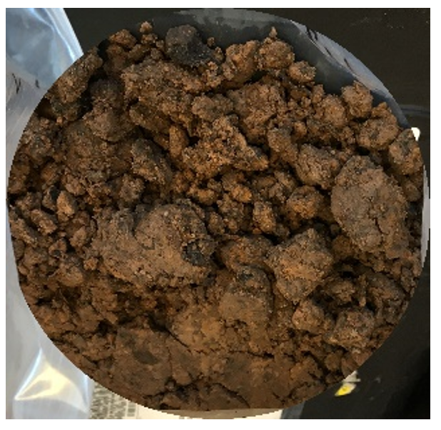 Nature of Soil Sampling – ism